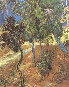 Vincent Van Gogh Trees in the Garden of Saint-Paul Hospital (nn04) USA oil painting reproduction